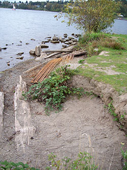 Eroding shoreline covered with debris