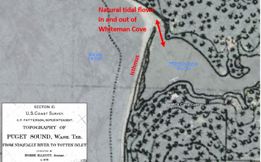 Whiteman Cove map