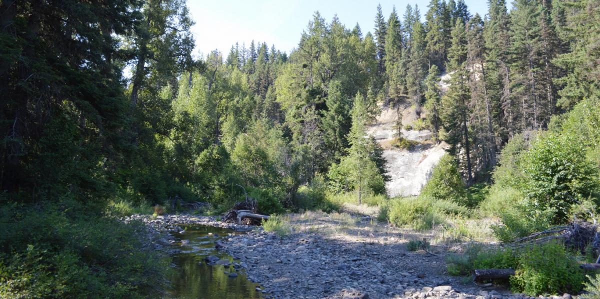 Teanaway Community Forest Recreation Planning | WA - DNR